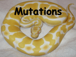 Mutations - ScienceGeek.net Homepage