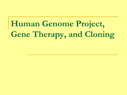 Human Genome Project, Gene Therapy, and Cloning