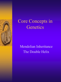 Core Concepts in Genetics - University of Colorado Boulder