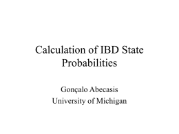 Calculation of IBD State Probabilities
