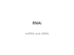RNAi - Mabra