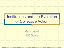 Collective Action Behavior and Social Institutions