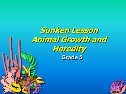 Sunken Lesson Animal Growth and Heredity