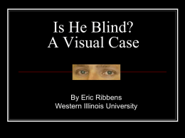 Is He Blind? A Visual Case