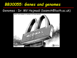 BB30055: Genes and genomes