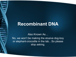 Recombinant DNA