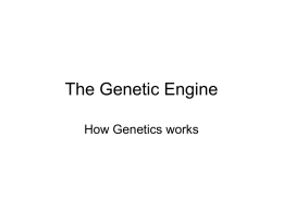 Mendel_and_the_genetic_engine