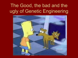 The Good, the bad and the ugly of Genetic Engineering
