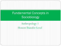 Fundamental Concepts in Sociobiology