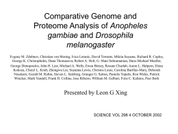 Comparative Genome and Proteome Analysis of Anopheles