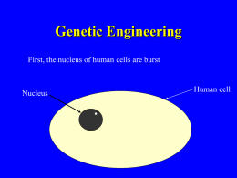Genetic Engineering Ppt