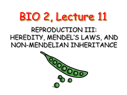 Lecture 11: Reproduction III