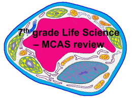 Life Science Review MCAS