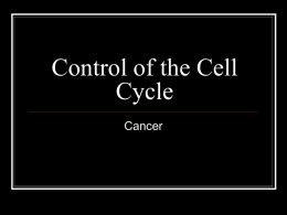 Control of the Cell Cycle