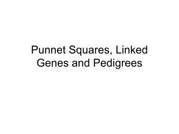Punnet Squares, Linked Genes and Pedigrees