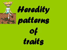 Heredity patterns of traits - WidgetsandWhatchamacallits