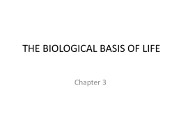 Chapter Three The Biological Basis of Life
