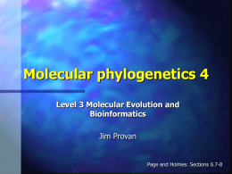 Molecular phylogenetics IV