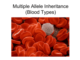 Multiple Allele Inheritance
