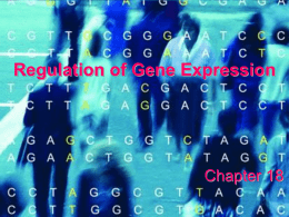 Chapter 18 - Regulation of Gene Expression - Bio-Guru