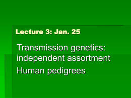 Lecture 3: More Transmission Genetics