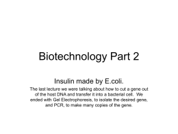 Biotechnology part 2