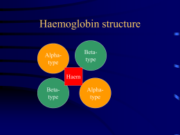 Normal Haemoglobin