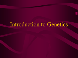 Intro to Genetics notes