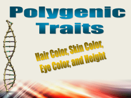NOTES Polygenic Traits