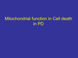 Cell death in PD-the case for mitochondria