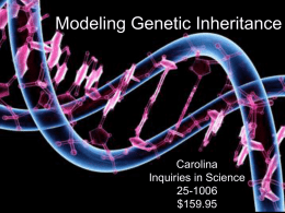 Modeling Genetic Inheritance