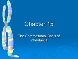 Ch. 15 Chromosomal Inheritance