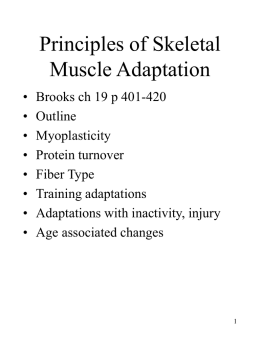 Principles of Skeletal Muscle Adaptation