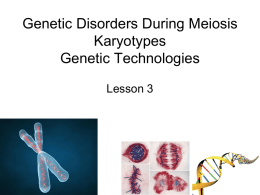 Lesson 3. Genetic Disorders, Karyotypes - Blyth-Biology11