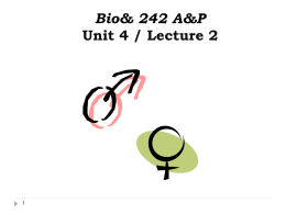 Bio 242 Unit 4 Lecture 2 PP
