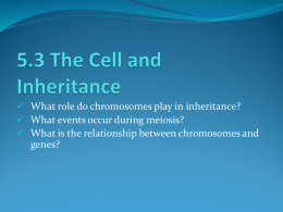 5.3 Cell and Inheritance