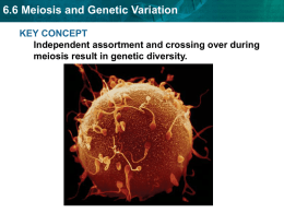 6.6 Meiosis and Genetic Variation
