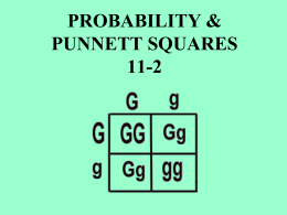 Mendel and punnetts squares notes