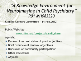 Child and Adolescent NeuroDevelopment Initiative Division of
