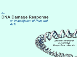 DNA Damage Response - Oregon State University