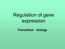 Gene expression of eukaryotic cells