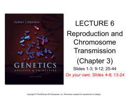 (Chapter 3):Reproduction and Chromosome Transmission