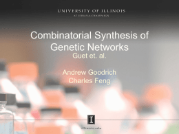 Combinatorial Synthesis of Genetic Networks
