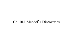 Ch. 10 Mendel`s Genetics