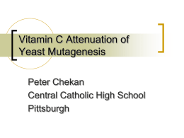 vit C effects on yeast mutagenesis Chekan PJAS 2010