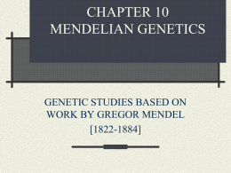 CHAPTER 10 MENDELIAN GENETICS
