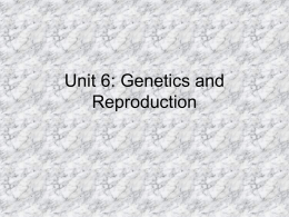 Unit 6: Genetics and Reproduction