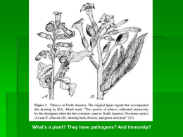 Wk15-PlantPath.