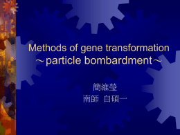 Methods of gene transformation ∼particle bombardment∼