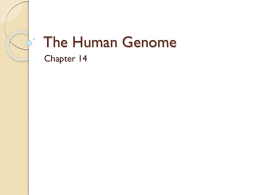Ch. 14 - The Human Genome
